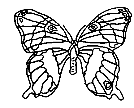 imagini de colorat fluture